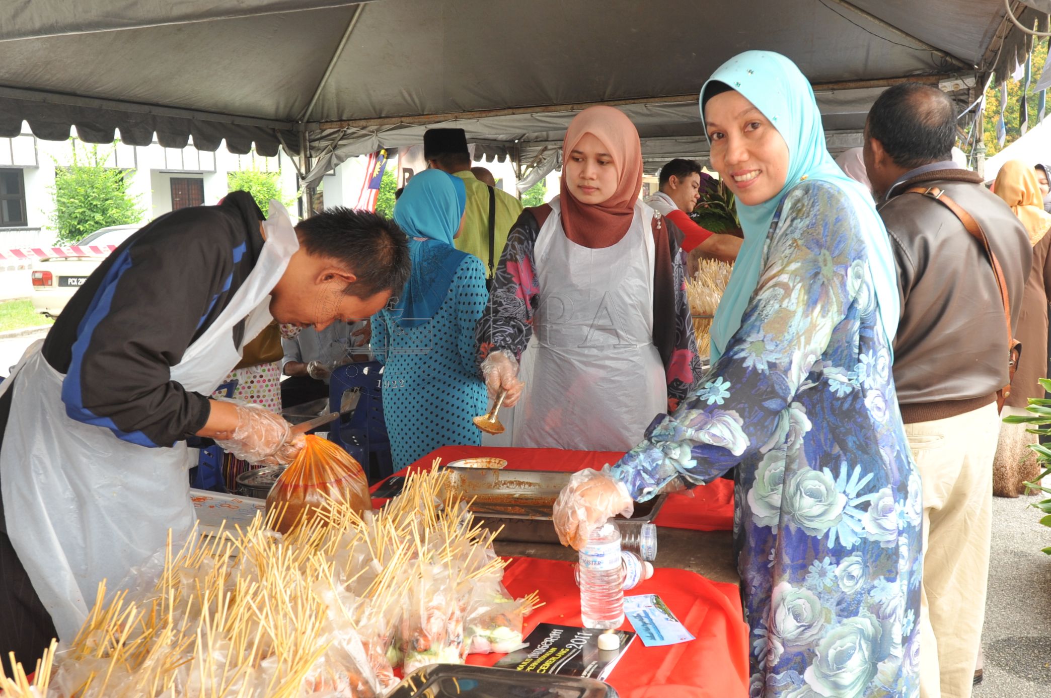 BPA 12 110 APC PRO 5422